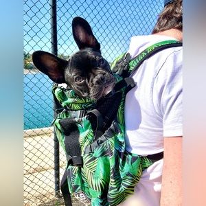 K9 Sport Sack Air 2 (MEDIUM)